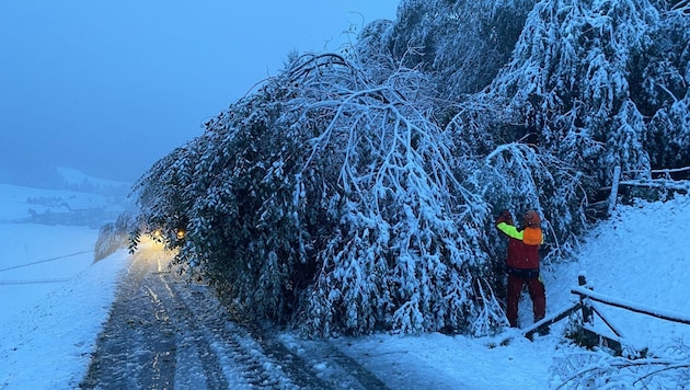 Onset of winter: A tree fell in Tamsweg, the volunteer fire department was called out. (Bild: FF Tamsweg)