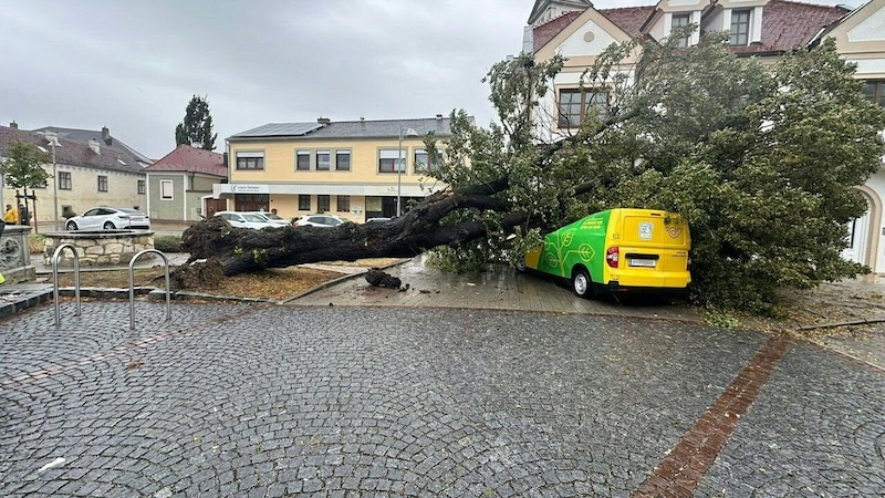 Aufgrund der heftigen Sturmböen stürzte im Burgenland (Purbach) ein Baum auf ein Postauto. Verletzt wurde niemand.  (Bild: APA/FF PURBACH)