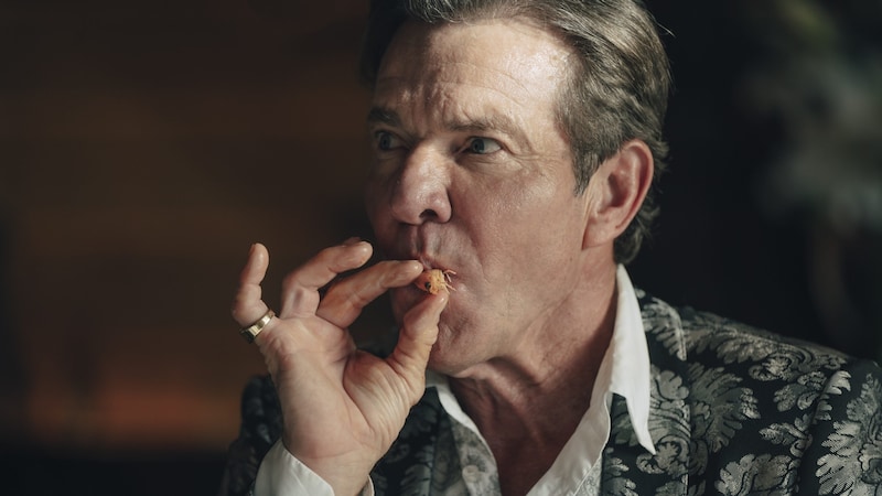 Kult-Darsteller Dennis Quaid spielt den schleimigen Hollywood-Produzenten Harvey. (Bild: © Universal Studios)