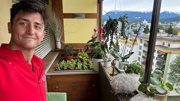 Nick Pastujov discovered his green fingers in his conservatory. (Bild: ZVG)