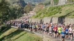 8000 Läufer wollten beim Wachaumarathon starten, das Wetter zwang zur Absage. (Bild: Bernd Gruber)