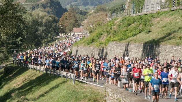 8000 Läufer wollten beim Wachaumarathon starten, das Wetter zwang zur Absage. (Bild: Bernd Gruber)