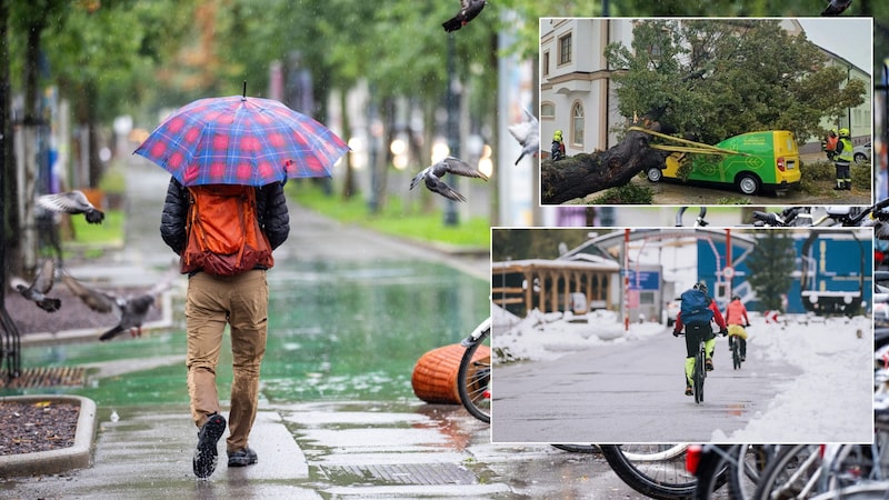 In Purbach (Eisenstadt district), a huge tree fell onto a Postbus in the middle of the town center (top right). Winter has broken out in Bad Gastein (bottom right), and in Vienna (large picture), squalls are making life difficult for residents. (Bild: APA/GEORG HOCHMUTH, APA/FF PURBACH, APA/EXPA/JFK)