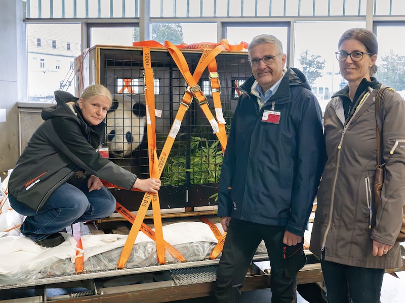 v.l.: Tierpflegerin Renate Haider, Zootierarzt Thomas Voracek, Kuratorin Eveline Dungl (Bild: DANIEL ZUPANC)