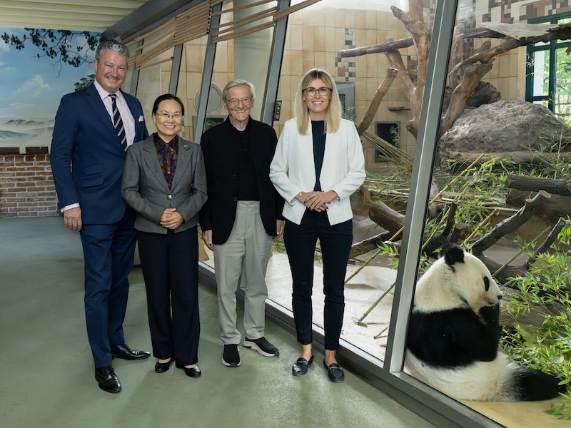 v.l.: Tiergartendirektor Stephan Hering-Hagenbeck, chinesische Botschafterin QI Mei, Aufsichtsratsvorsitzender der Schönbrunner Tiergarten-Gesellschaft m.b.H., Kanzler a.D. Wolfgang Schüssel, Generalsekretärin Eva Landrichtinger (Bild: DANIEL ZUPANC)