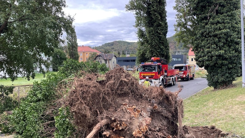 Auch in Graz stürzten bereits Bäume um, hier im Bezirk Gösting. (Bild: Jörg Schwaiger)