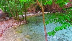 Der kleine Teich in Warmbad in Villach hat sich wieder gefüllt. Das Maibachl rinnt wieder.  (Bild: Georg Wastl)