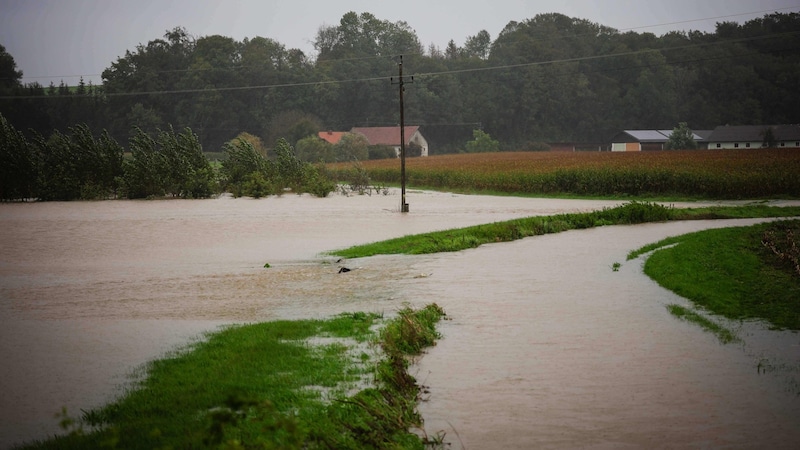 The continuous rain has already left its mark in the Innviertel... (Bild: Scharinger Daniel)