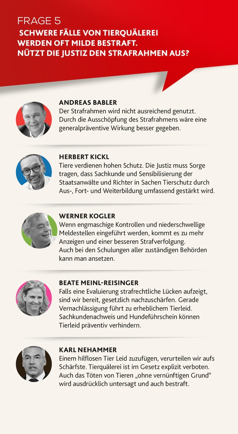 (Bild: SPÖ, FPÖ, Neos, Bernhard Schindler, Jöchl Martin, EPA/Max Slovencik)