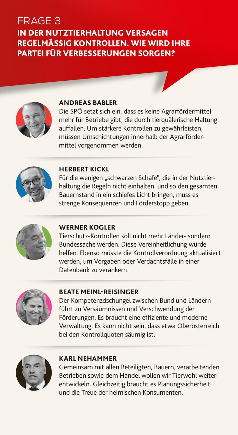 (Bild: SPÖ, FPÖ, Neos, Bernhard Schindler, Jöchl Martin, EPA/Max Slovencik)