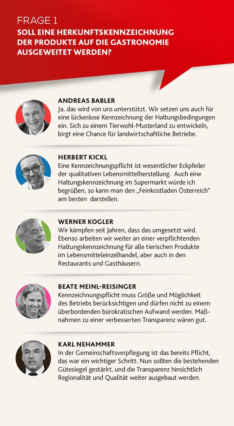 (Bild: SPÖ, FPÖ, Neos, Bernhard Schindler, Jöchl Martin, EPA/Max Slovencik)