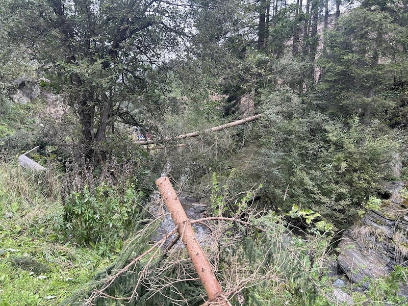 In Lungau, the storm toppled several trees. (Bild: FF Ramingstein)