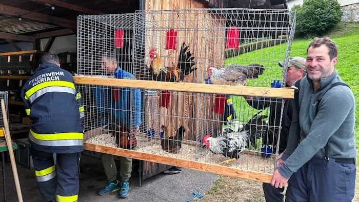 Im Einsatz stand die FF Arriach mit 20 Kameraden und die Polizeiinspektion Afritz am See
