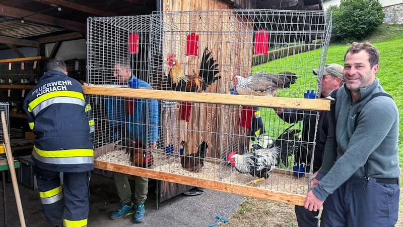 Im Einsatz stand die FF Arriach mit 20 Kameraden und die Polizeiinspektion Afritz am See (Bild: Bezirksfeuerwehrkommando Villach-Land)