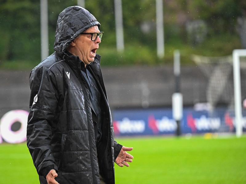 Bregenz coach Regi van Acker could not believe how many chances his team missed. (Bild: GEPA pictures)