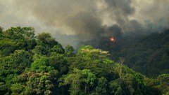 Die Hälfte der Brände würden den Primärwald  in Brasilien betreffen. (Bild: APA/AFP)