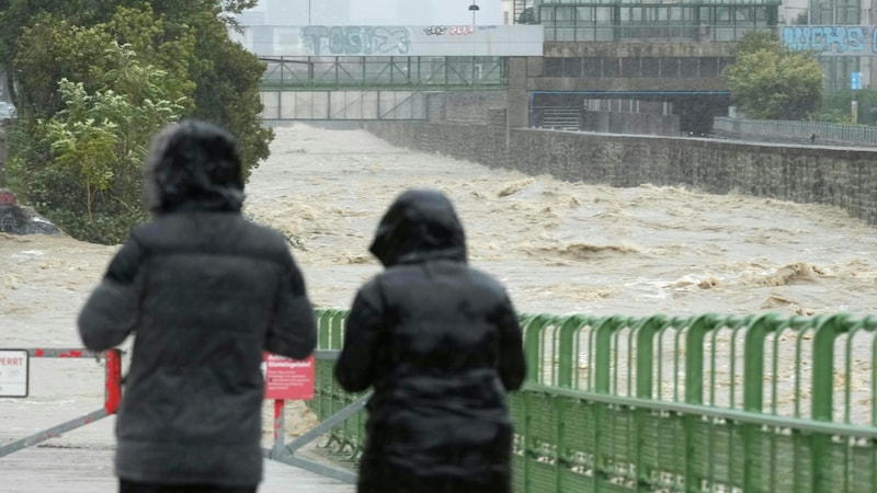 Ein Blick auf den Wienfluss am Sonntag (Bild: APA/GEORG HOCHMUTH)