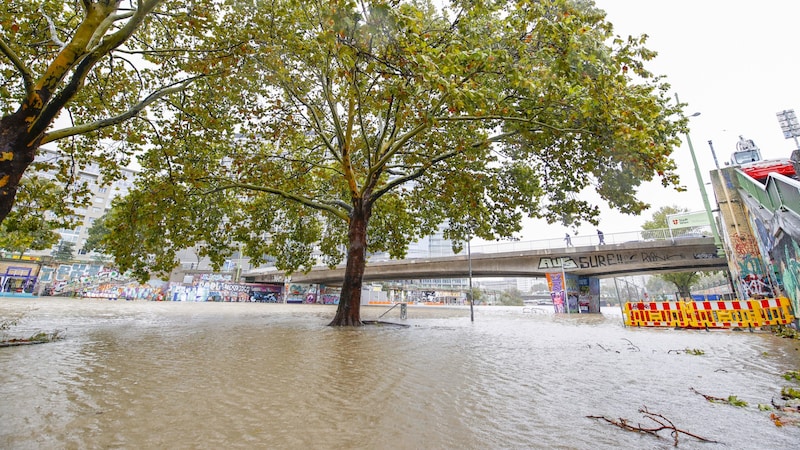 Umwetter in Wien (Bild: APA/TOBIAS STEINMAURER)