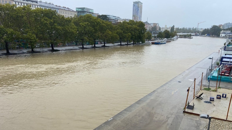 Paths along the Danube Canal are already under water. (Bild: Franz Hollauf)