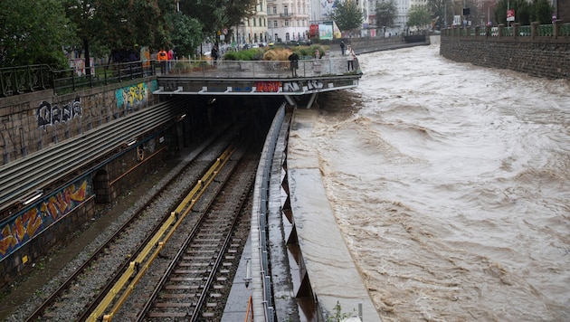 Hochwasser in Wien (Bild: APA/AFP )