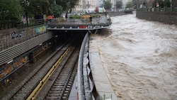 Hochwasser in Wien (Bild: APA/AFP )