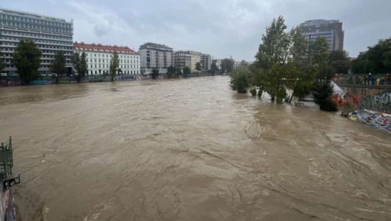 Auch der Wienfluss ist völlig überflutet. (Bild: Hannah Tilly)