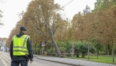 Die Grazer Wilhelm-Fischer-Allee wurde wegen eines Windbruchs gesperrt. (Bild: Juergen Fuchs)