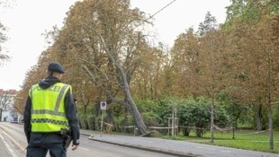Die Grazer Wilhelm-Fischer-Allee wurde wegen eines Windbruchs gesperrt.