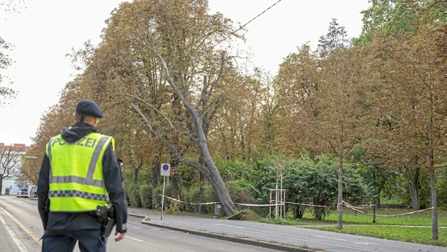 Die Grazer Wilhelm-Fischer-Allee wurde wegen eines Windbruchs gesperrt. (Bild: Juergen Fuchs)