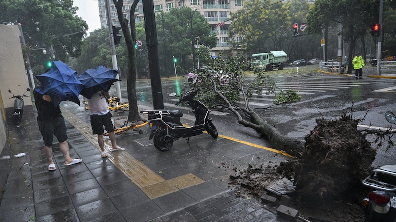 (Bild: APA/AFP/HECTOR RETAMAL)