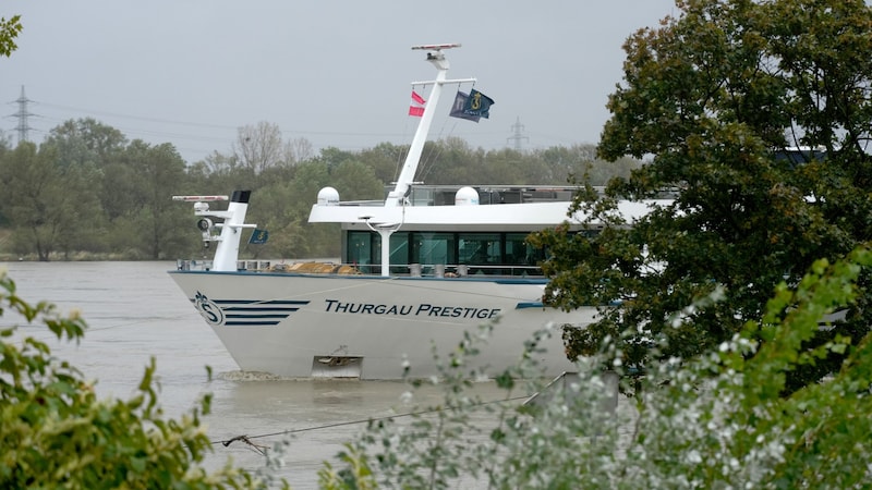 Das Schiff von Thurgau Travel ist in Wien gestrandet – zusammen mit verschiedenen anderen Schiffen. (Bild: APA/GEORG HOCHMUTH)