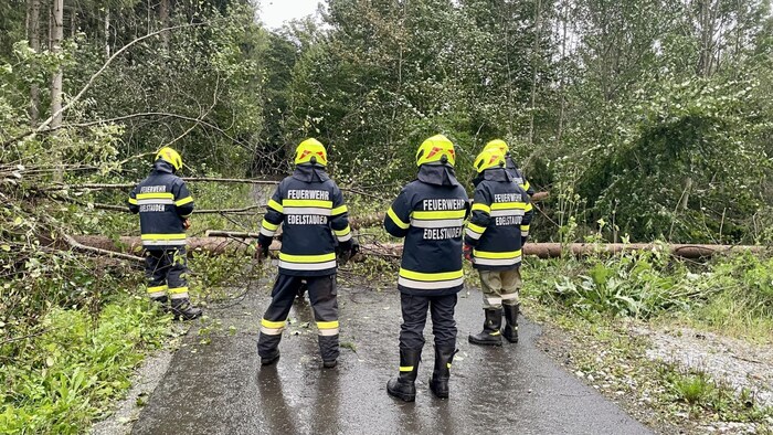 In Edelstauden (Bezirk Graz-Umgebung) richtete der Sturm auch einen enormen Schaden an.