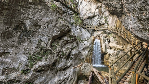 Die neu eröffnete Bärenschützklamm (Bild: Juergen Fuchs)