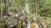 Das steirische Naturjuwel. (Bild: Juergen Fuchs)