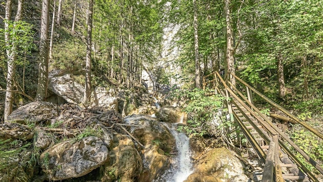 The gorge will soon be a magnet for visitors again. (Bild: Juergen Fuchs)