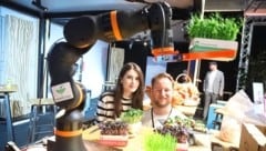 Warum ist ein Roboterarm beim Kresse-Anbau sinnvoll? Das wissen Farmionic-Gründer Stefan Gritsch und Ana. (Bild: Birbaumer Christof/Christof Birbaumer)