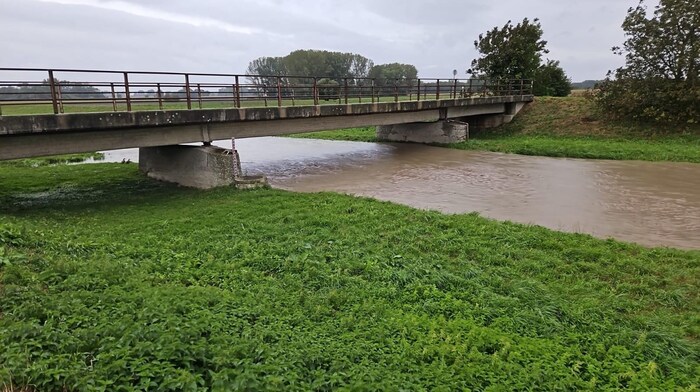 Das Flussbett der Leitha bei Nickelsdorf war am Montag randvoll.