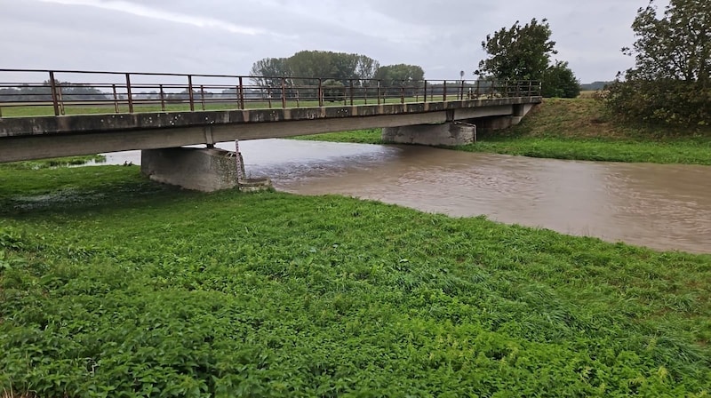 The riverbed of the Leitha near Nickelsdorf was full to the brim on Monday. (Bild: Gerhard Zapfl)