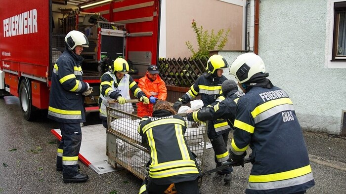 Unermüdlich packen die steirischen Feuerwehrleute in Niederösterreich an.