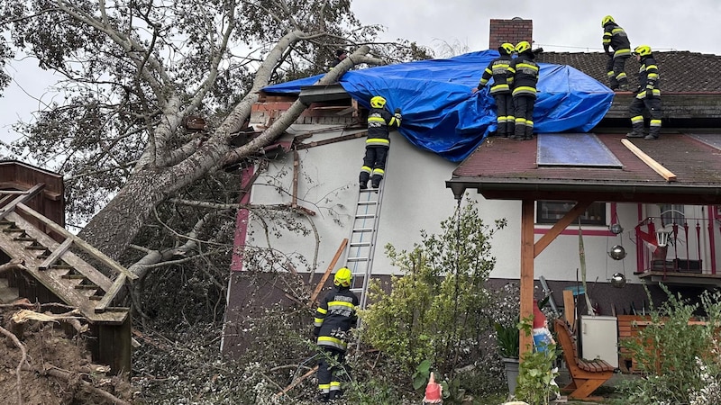 (Bild: Feuerwehr Penzendorf)