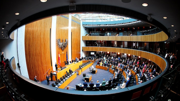 Meeting in the National Council (Bild: APA/EVA MANHART)