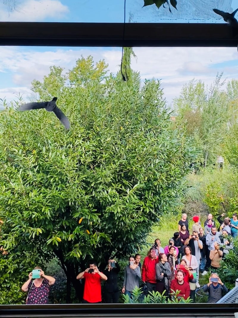 Symbol der Hoffnung, nach vielen Stunden im Einsatz.  (Bild: Katharina Lattermann)