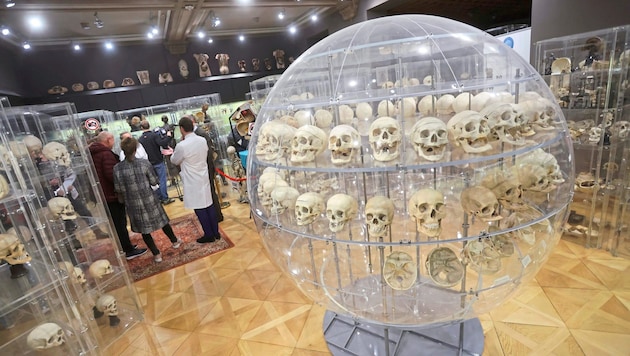 Doctors from all over the world come to Innsbruck for further training. There is also a unique museum here. (Bild: Birbaumer Christof)