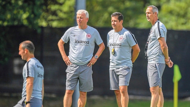 Christian Peintinger (center) has been Adi Hütter's assistant coach since 2015. (Bild: GEPA/GEPA pictures)