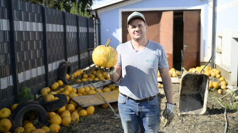 Auch kuriose Auswirkungen hat die Megaflut: Diesem Hausbesitzer wurde beinahe eine komplette Kürbisernte in den Garten gespült. (Bild: Antal Imre/Imre Antal)