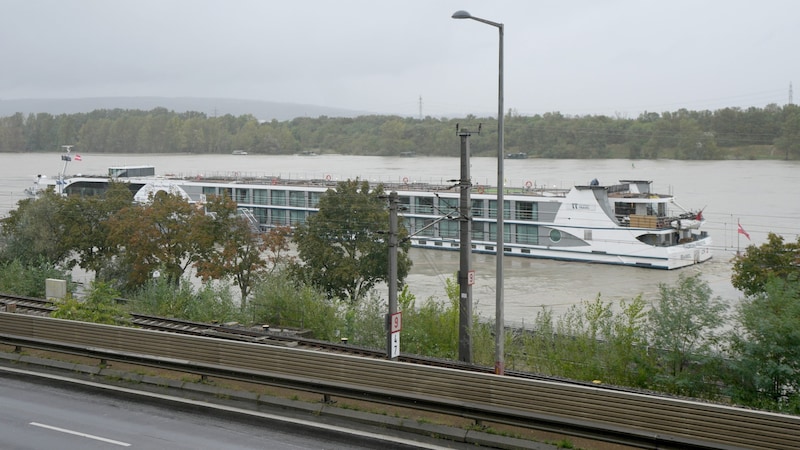 The MS Thurgau Prestige (Bild: APA/GEORG HOCHMUTH)