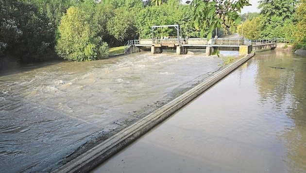 The water level of the Leitha is still alarmingly high. (Bild: Charlotte Titz)