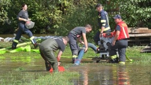 In Mauerkirchen musste am Dienstag wegen des Hochwassers eine Siedlung evakuiert werden. (Bild: Manfred Fesl)