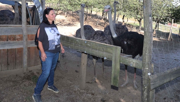 Claudia Schweiger, former manager of the farm, and her "ex" faced with an eviction notice. (Bild: Judt Reinhard)