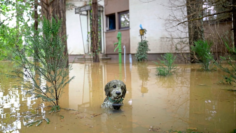 Liane P. had erected a monument to her "Elli" during her lifetime! It bears a touching resemblance to the beloved four-legged friend. Neither the woman nor her silver-grey miniature poodle made it out of the suddenly flooded house where they thought they were safe. (Bild: Antal Imre/Imre Antal)